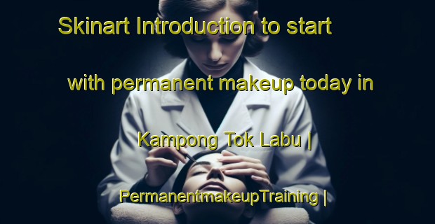 Skinart Introduction to start with permanent makeup today in Kampong Tok Labu | PermanentmakeupTraining | PermanentmakeupClasses | SkinartTraining-Malaysia